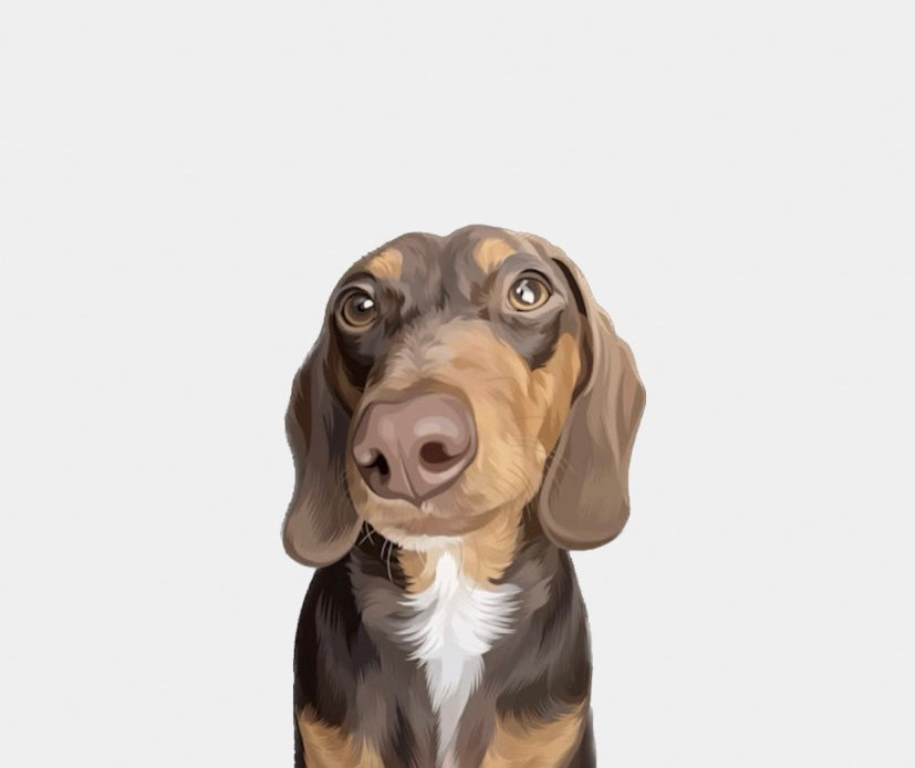 CUSTOM PET PORTRAIT