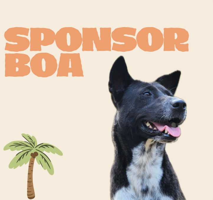 SPONSOR BOA