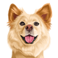 CUSTOM PET PORTRAIT