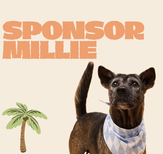 SPONSOR MILLIE