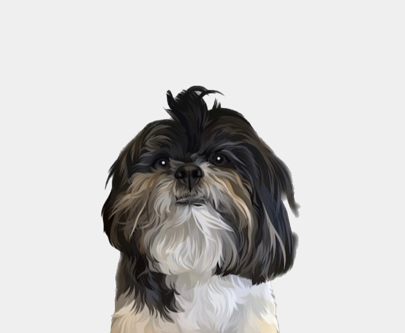 CUSTOM PET PORTRAIT