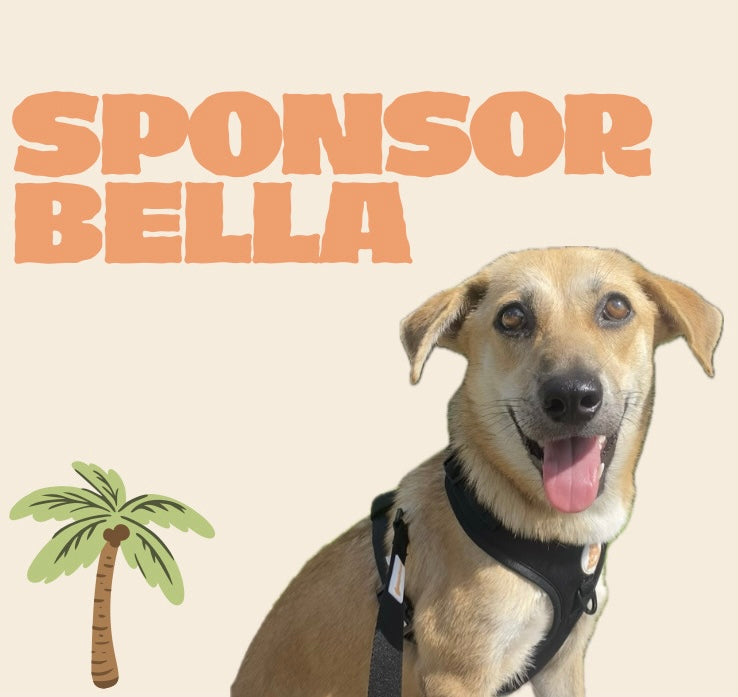 SPONSOR BELLA