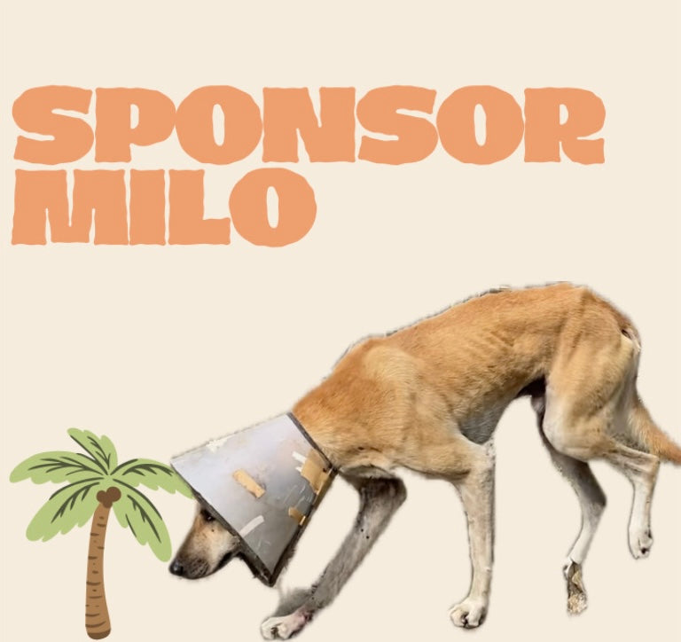 SPONSOR MILO