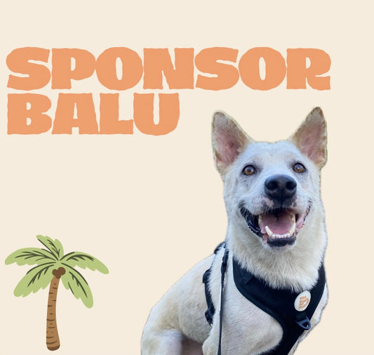 SPONSOR BALU