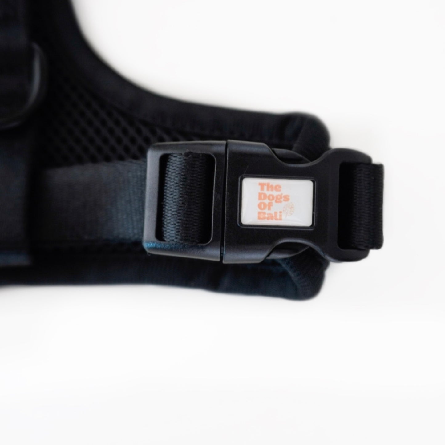 Adjustable Harness