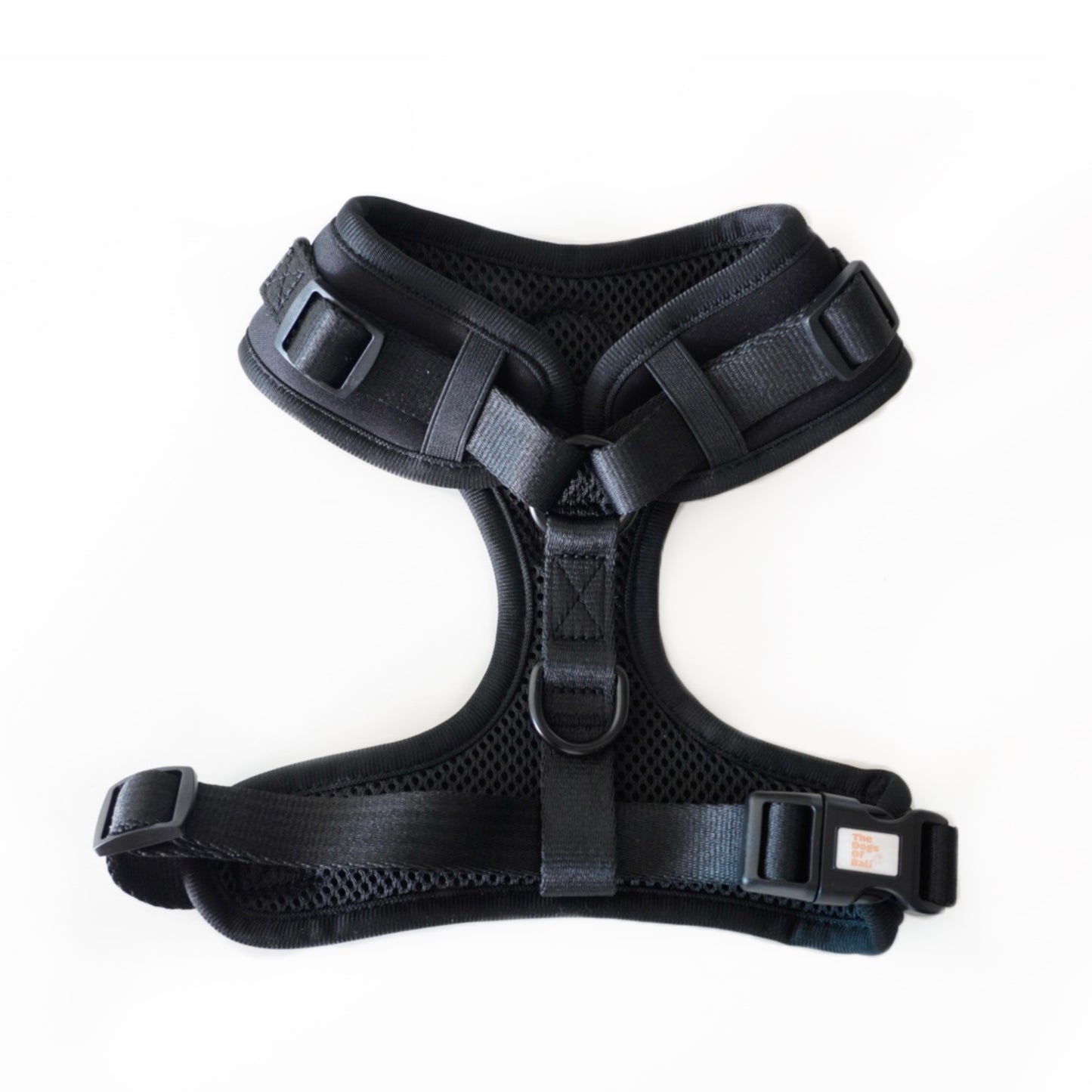 Adjustable Harness